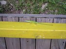 DSCN1286.jpg